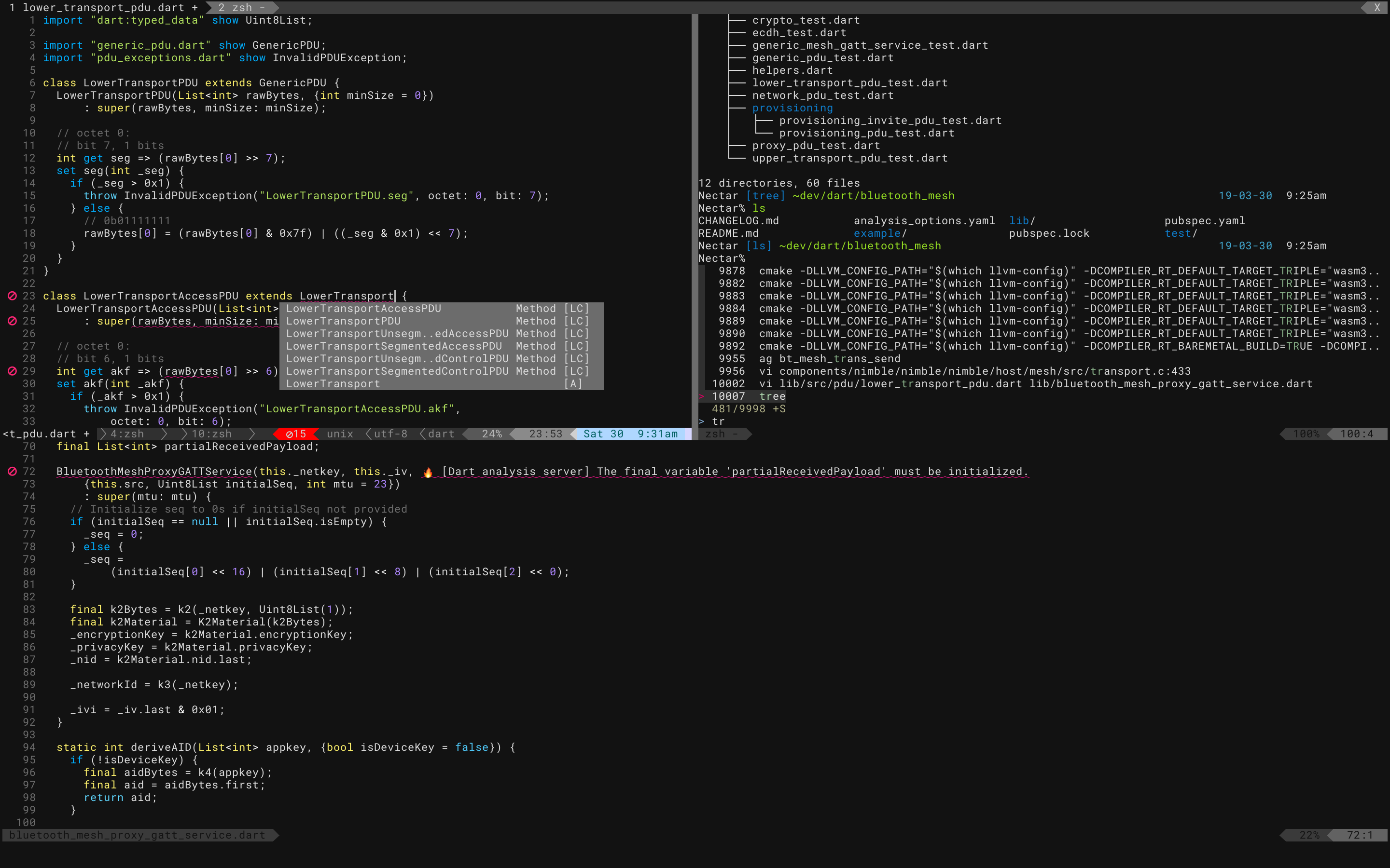 Screenshot (kitty/nvim)